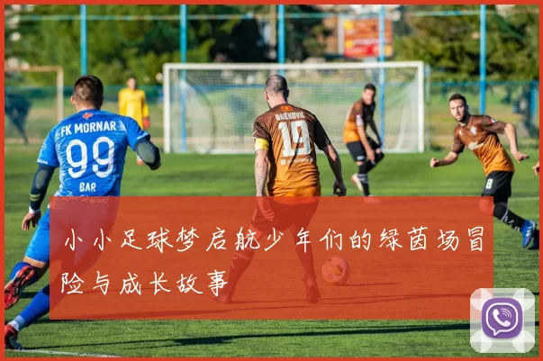小小足球梦启航少年们的绿茵场冒险与成长故事