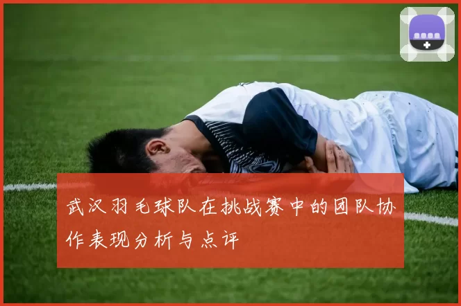 武汉羽毛球队在挑战赛中的团队协作表现分析与点评