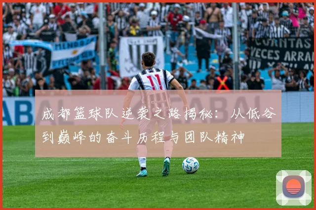 成都篮球队逆袭之路揭秘：从低谷到巅峰的奋斗历程与团队精神