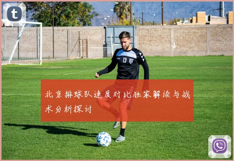 北京排球队速度对比独家解读与战术分析探讨