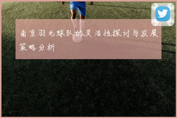 南京羽毛球队的灵活性探讨与发展策略分析