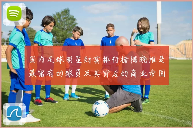 国内足球明星财富排行榜揭晓谁是最富有的球员及其背后的商业帝国