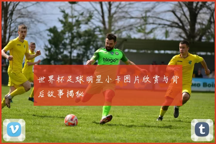 世界杯足球明星小卡图片欣赏与背后故事揭秘