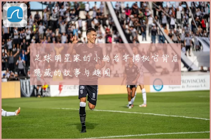 足球明星家的小狗名字揭秘它背后隐藏的故事与趣闻