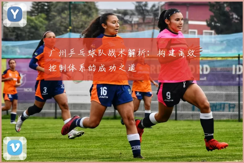 广州乒乓球队战术解析：构建高效控制体系的成功之道