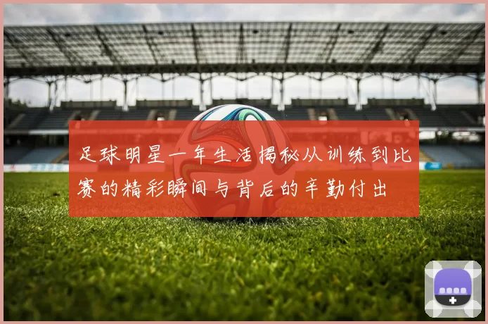 足球明星一年生活揭秘从训练到比赛的精彩瞬间与背后的辛勤付出