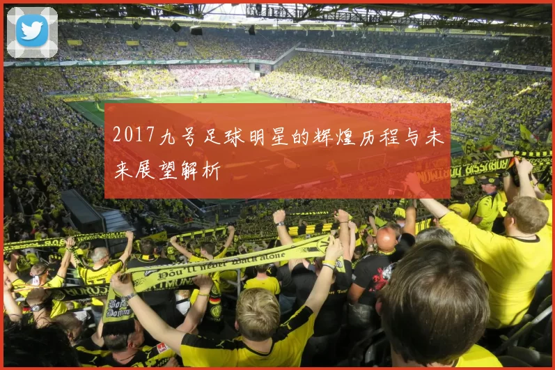 2017九号足球明星的辉煌历程与未来展望解析
