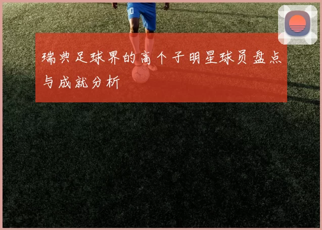 瑞典足球界的高个子明星球员盘点与成就分析