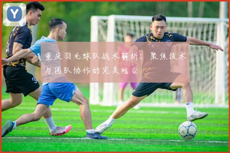 重庆羽毛球队战术解析：聚焦技术与团队协作的完美结合