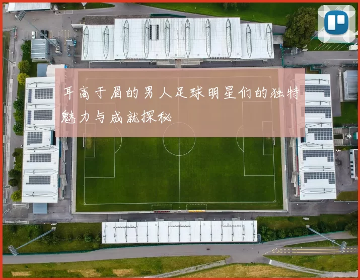 耳高于眉的男人足球明星们的独特魅力与成就探秘