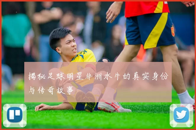 揭秘足球明星非洲水牛的真实身份与传奇故事