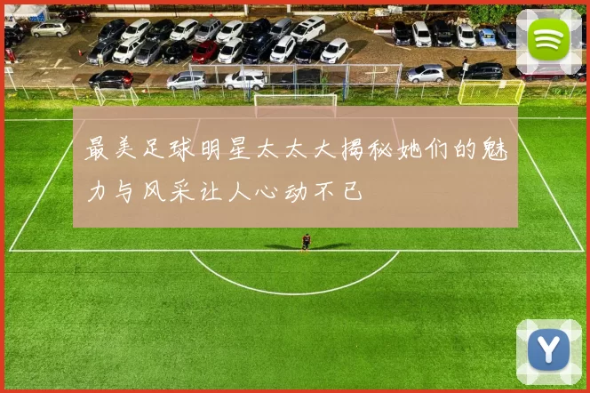 最美足球明星太太大揭秘她们的魅力与风采让人心动不已