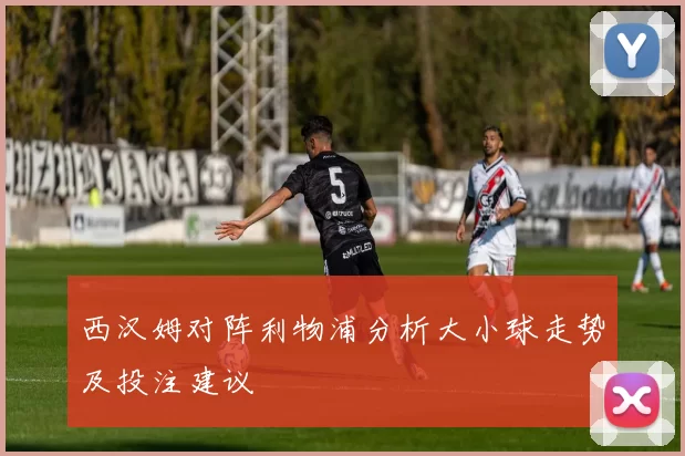 西汉姆对阵利物浦分析大小球走势及投注建议