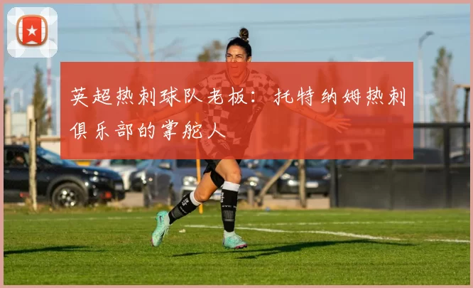 英超热刺球队老板：托特纳姆热刺俱乐部的掌舵人