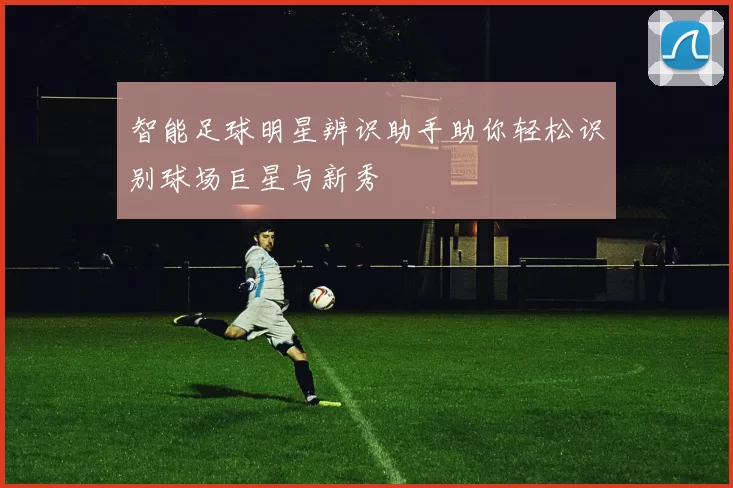 智能足球明星辨识助手助你轻松识别球场巨星与新秀