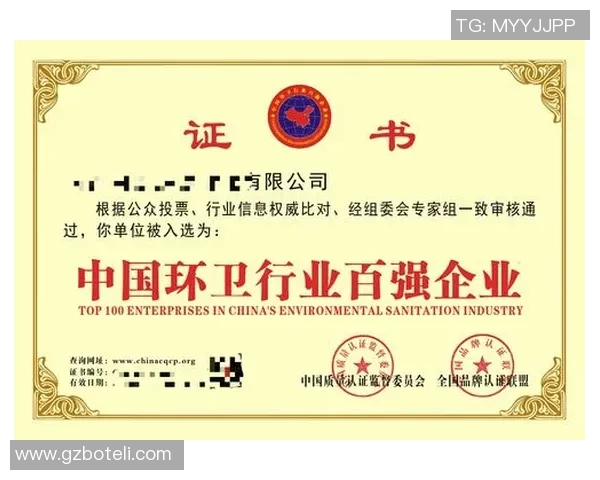 《聚焦行业荣誉与卓越成就探讨，深入解析各类奖项的重要性与影响力》