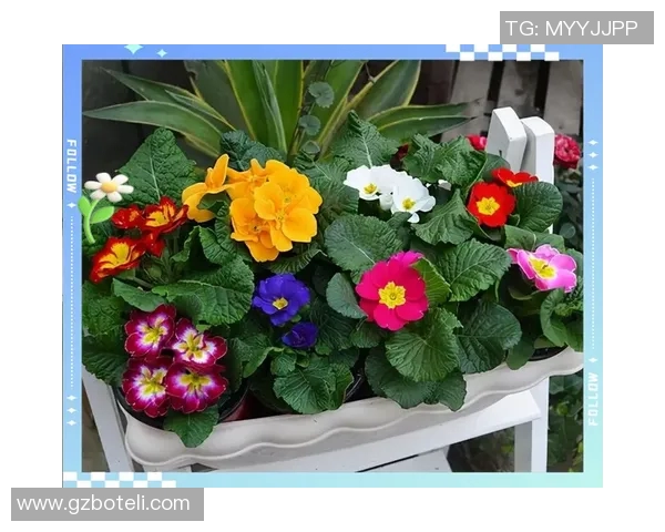 花卉种植的技巧与实践,打造美丽花园的全方位指南